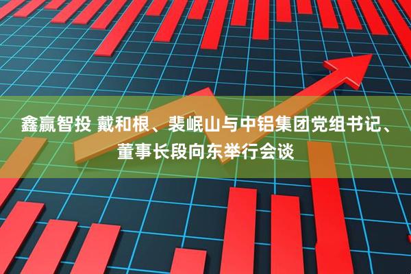 鑫赢智投 戴和根、裴岷山与中铝集团党组书记、董事长段向东举行会谈