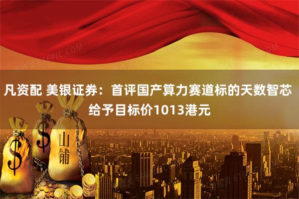 凡资配 美银证券：首评国产算力赛道标的天数智芯 给予目标价1013港元