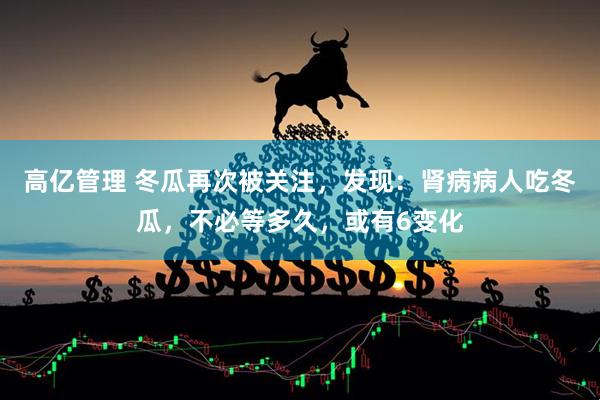 高亿管理 冬瓜再次被关注，发现：肾病病人吃冬瓜，不必等多久，或有6变化