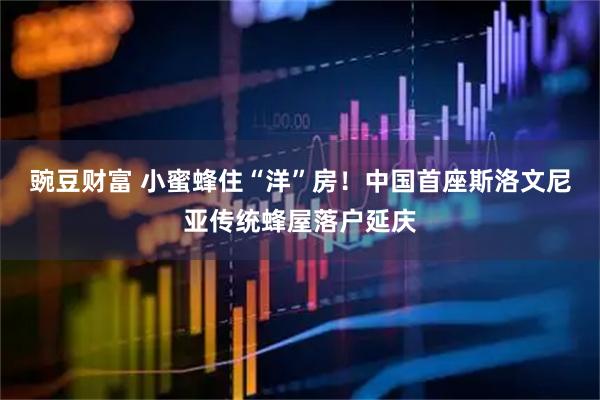 豌豆财富 小蜜蜂住“洋”房！中国首座斯洛文尼亚传统蜂屋落户延庆